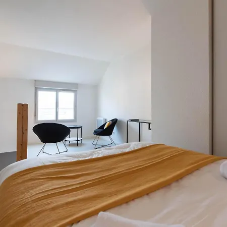 Duplex Coquet Avec Parking Proche Centre-ville De Lyon Apartment